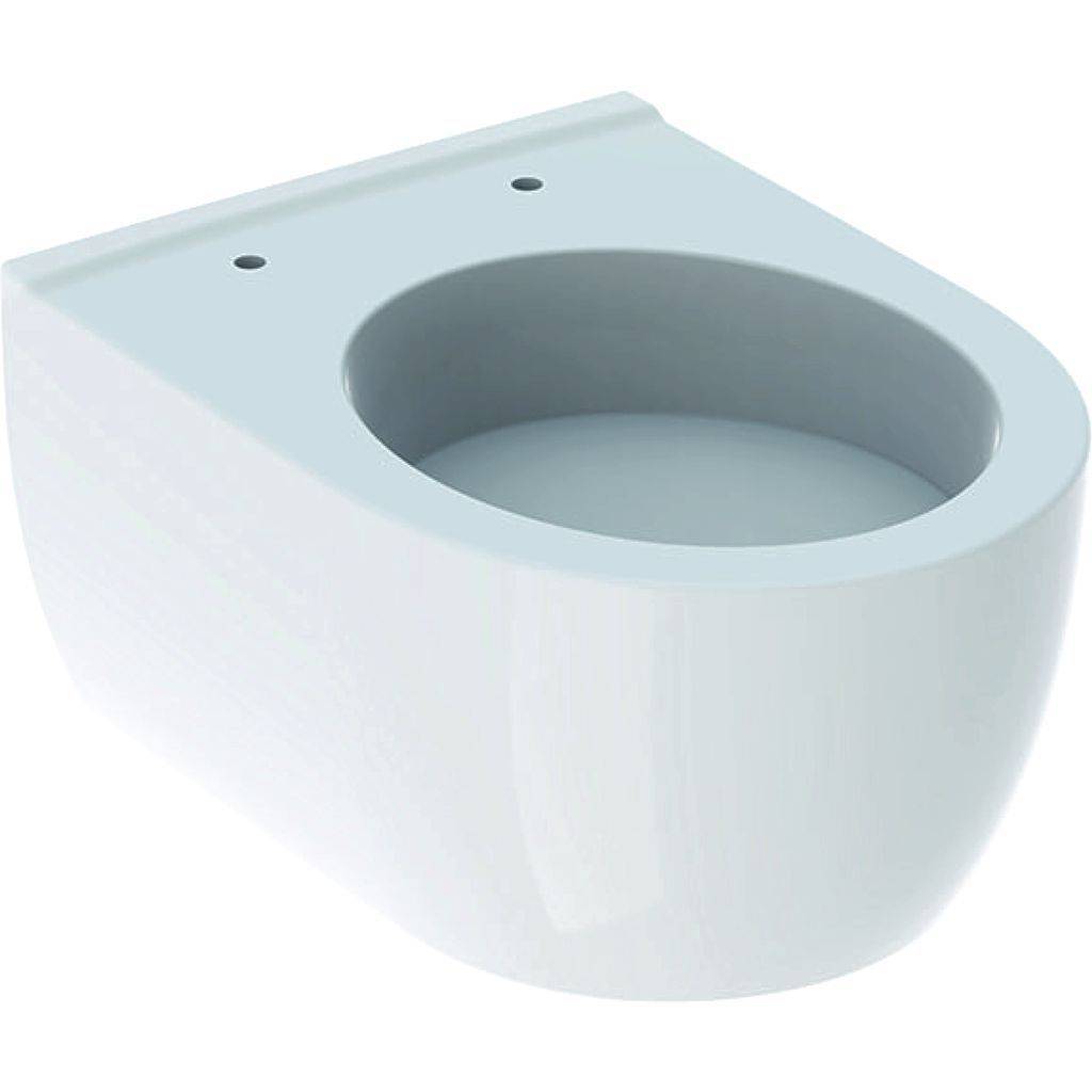 iCon xs washdown WC, short, 4.5/6l, wall-hung