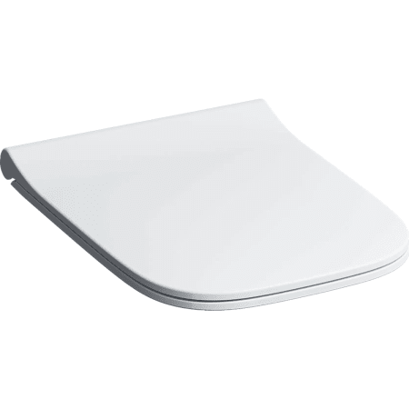 Smyle toilet seat with cover, sandwich, with soft close mechanism