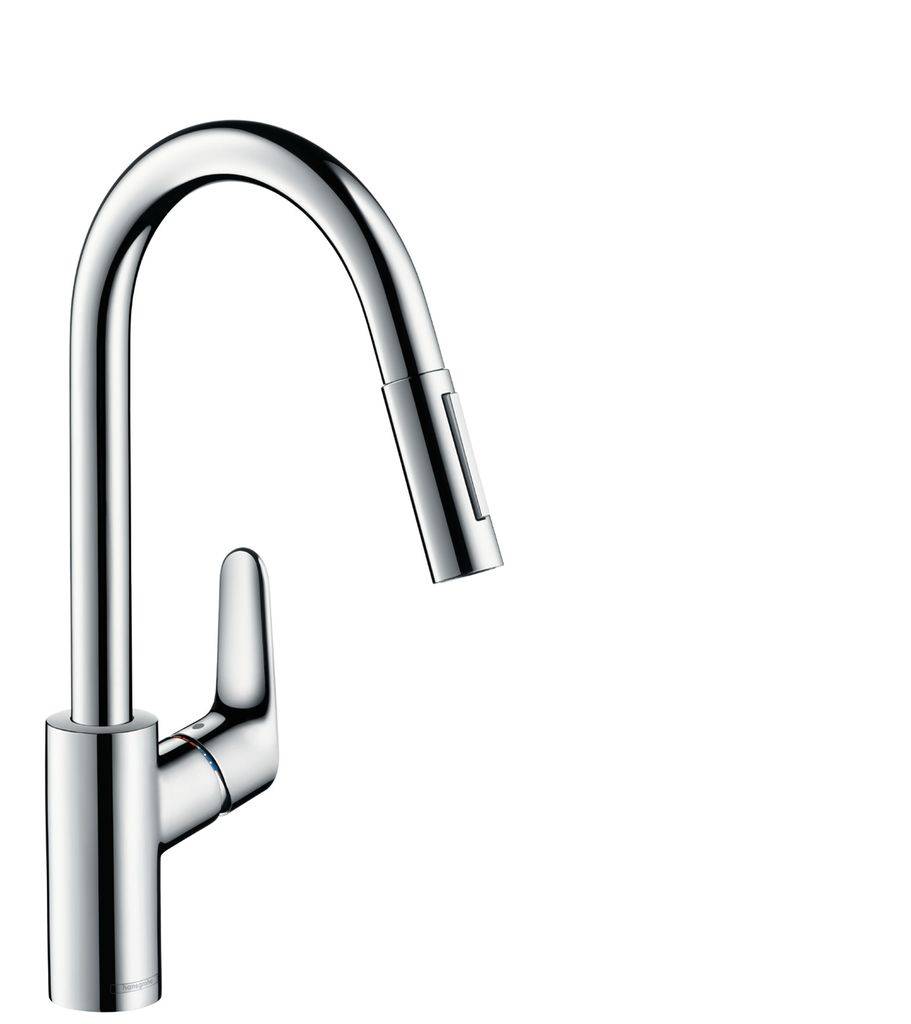 Single lever kitchen mixer 240 with pull out shower Focus